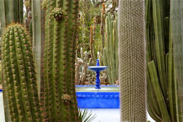 Jardin Majorelle
